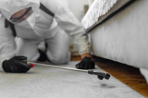 Professional Termite Control technician working in Charles Town, WV