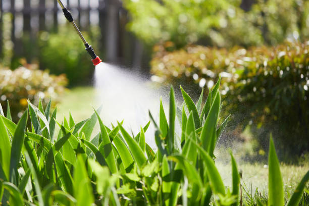 24/7 Emergency Termite Control experts in Charles Town, WV