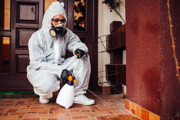 Reliable Termite Control contractor in Charles Town, WV by Nex Pest Control