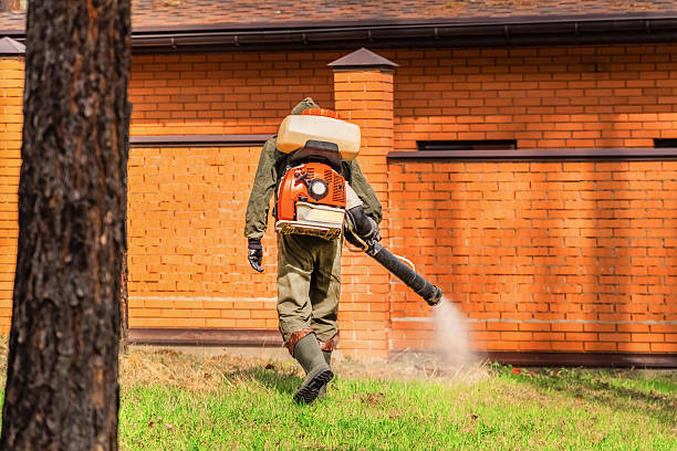 Trusted Ant Control service in Charles Town, WV - Nex Pest Control